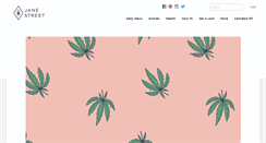 Desktop Screenshot of janest.com